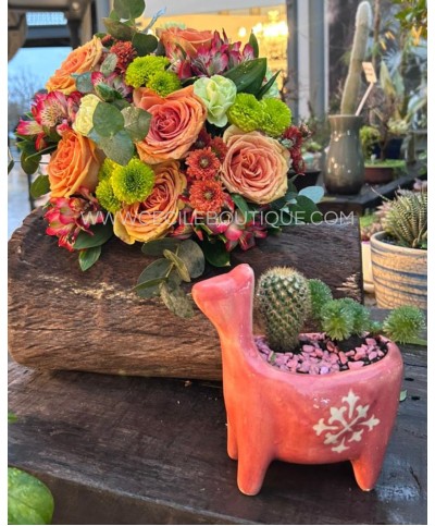 Pequeño Sol |Bouquet