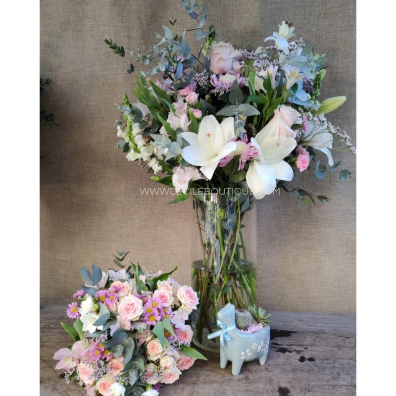 Serena/ Conjunto de ramos con jardin Serena/ Conjunto de ramos con jardin