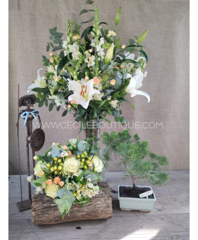 Sol patrio | Conjunto de ramos más escultura y bonsái