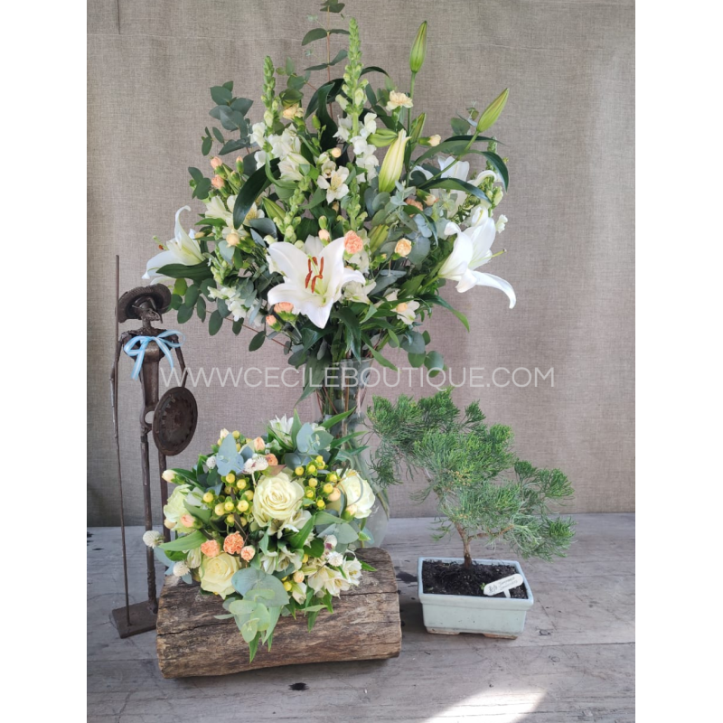 Sol patrio | Conjunto de ramos más escultura y bonsái