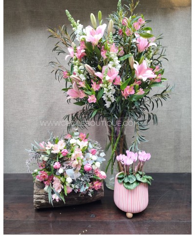 Super amigas|Conjunto de ramos & Jardín