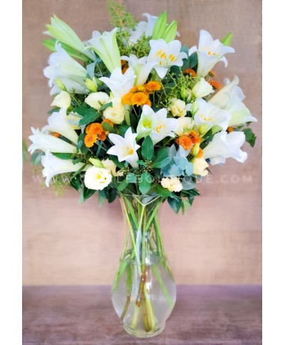 Trompetas de luz | Pascuas