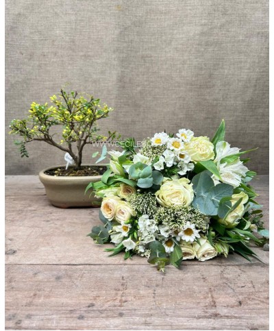 Suspiro Otoñal/Set con Bonsai