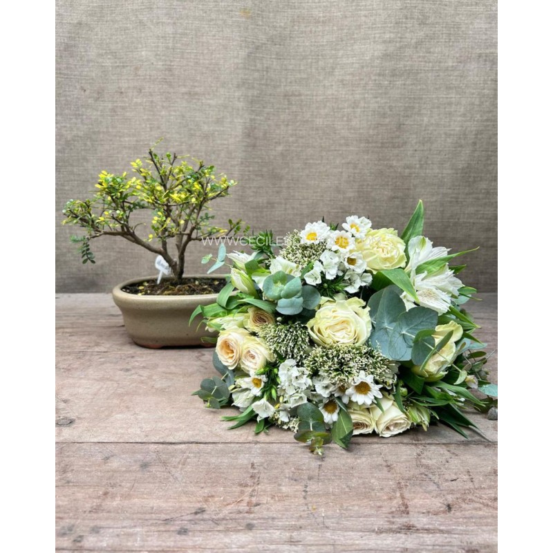 Suspiro Otoñal/Set con Bonsai