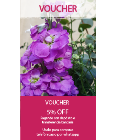 Voucher