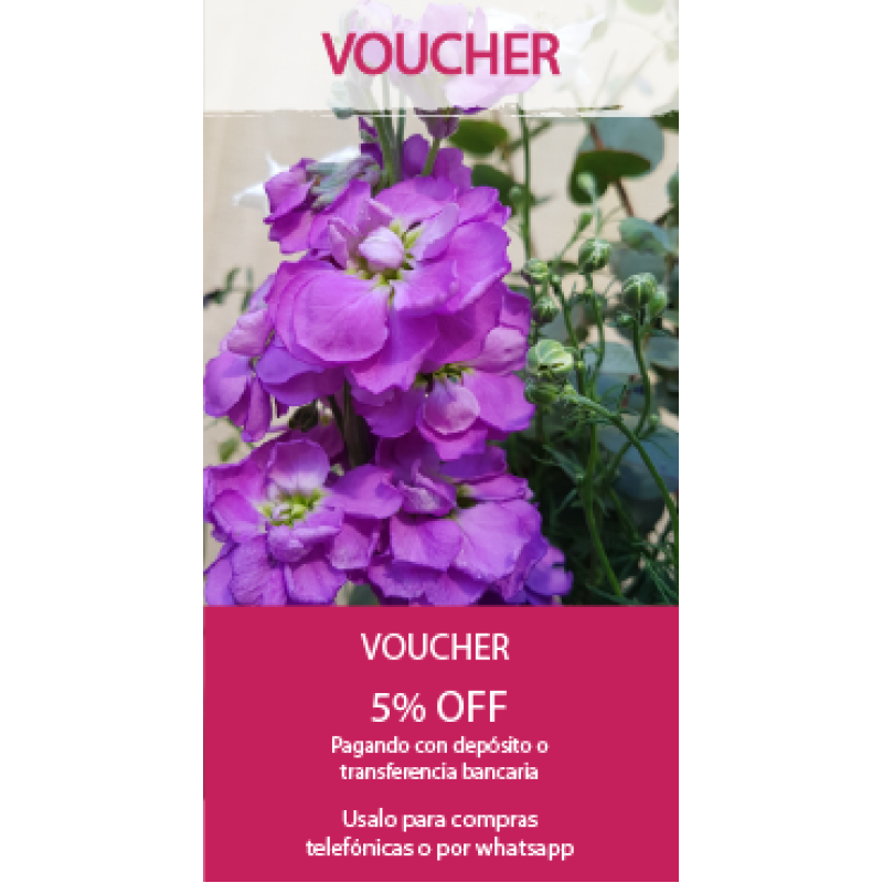 Voucher