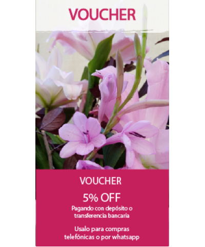 Voucher