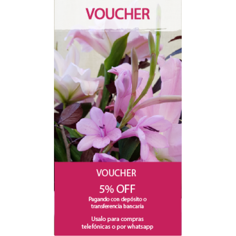 Voucher