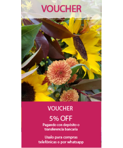 Voucher