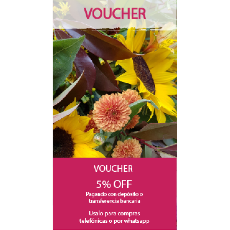 Voucher