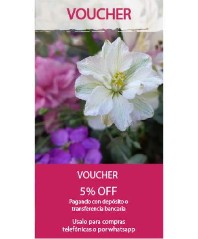 Voucher