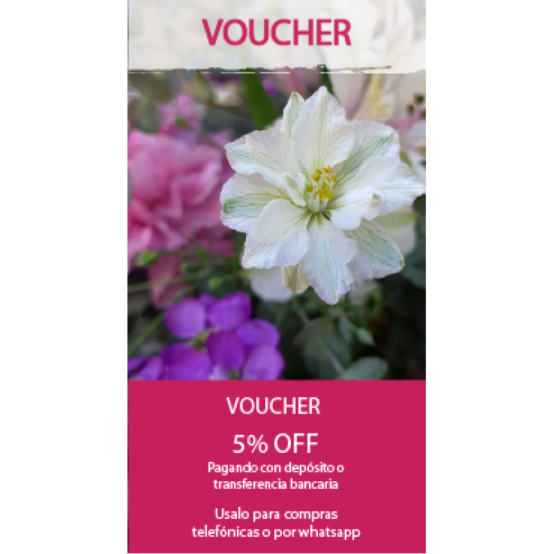 Voucher