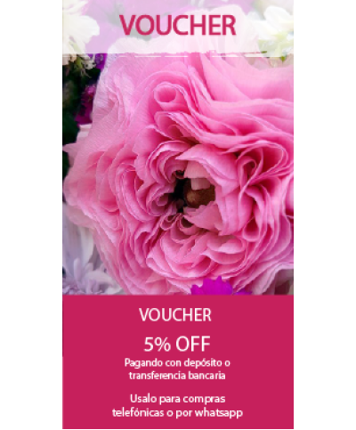 Voucher