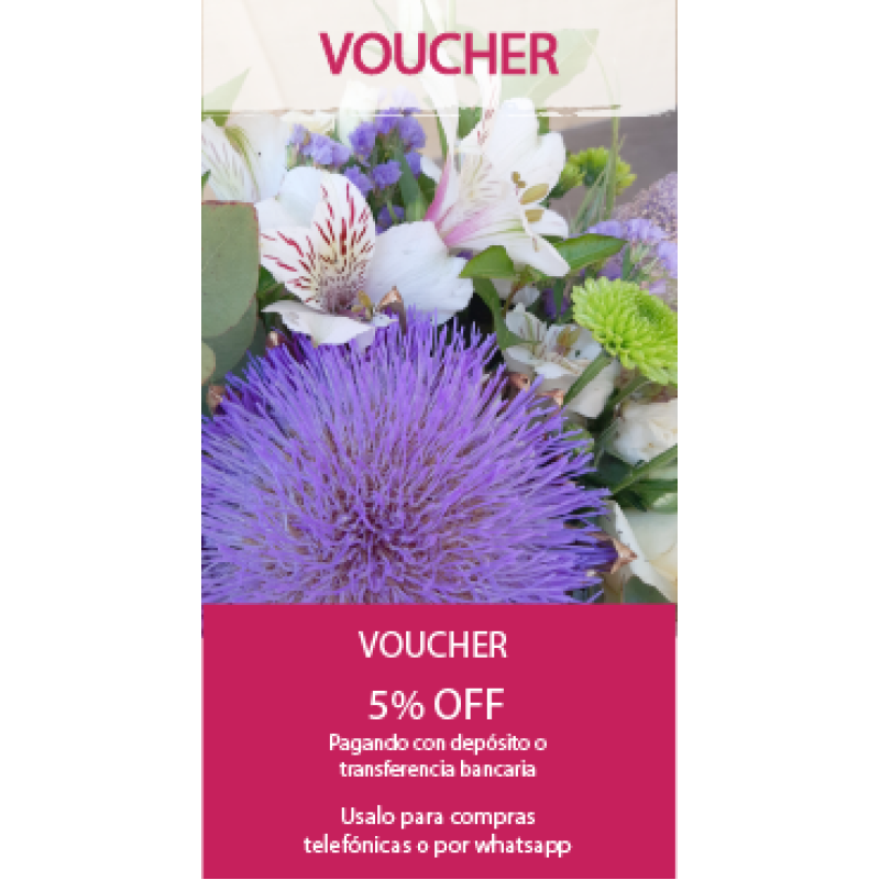 Voucher