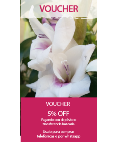 Voucher