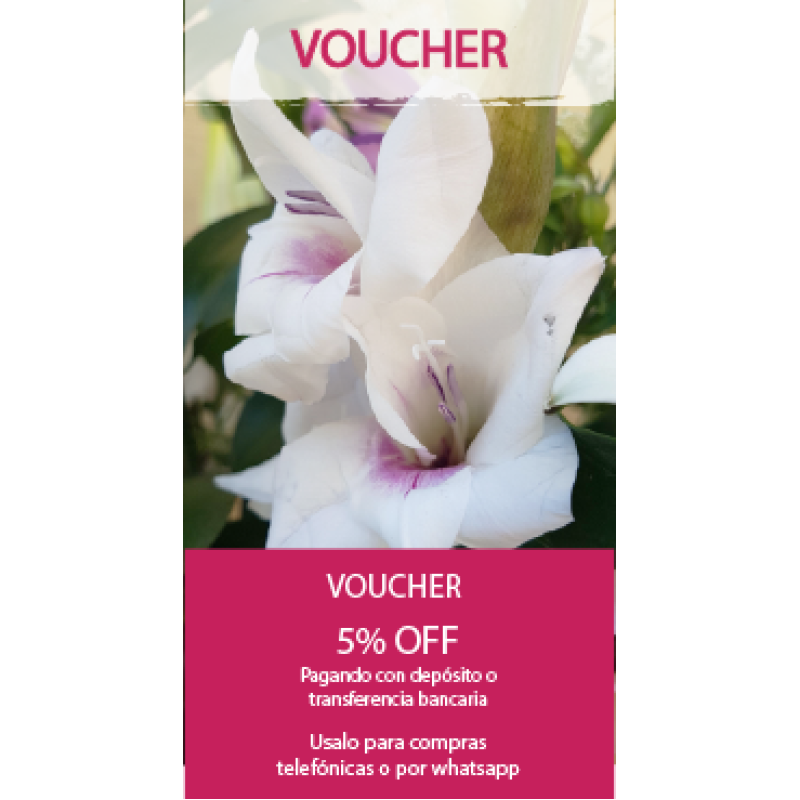 Voucher