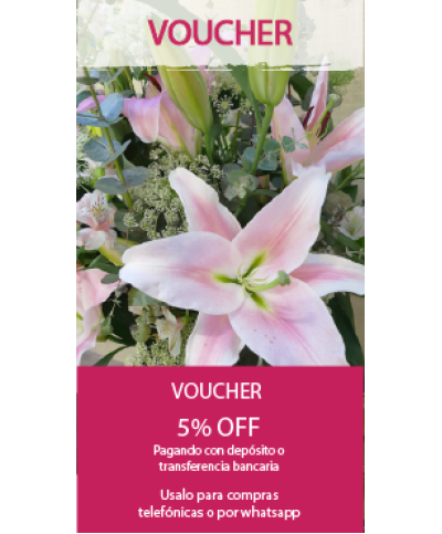 Voucher