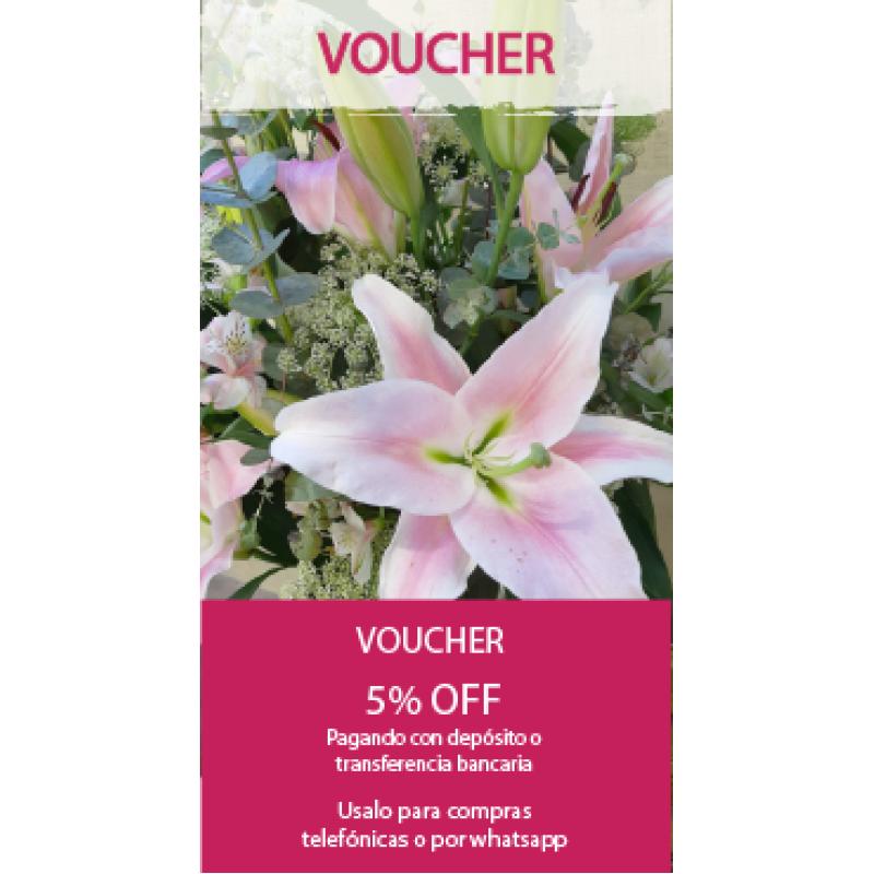 Voucher