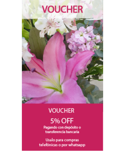 Voucher
