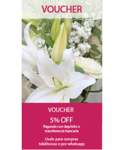 Voucher
