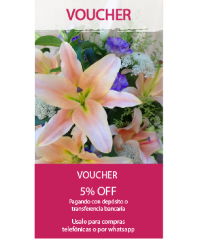 Voucher