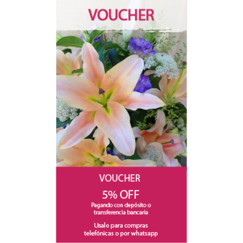Voucher