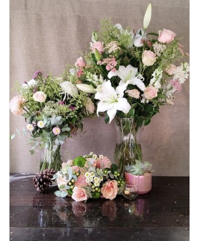 Elegancia de Año Nuevo | Super Conjunto