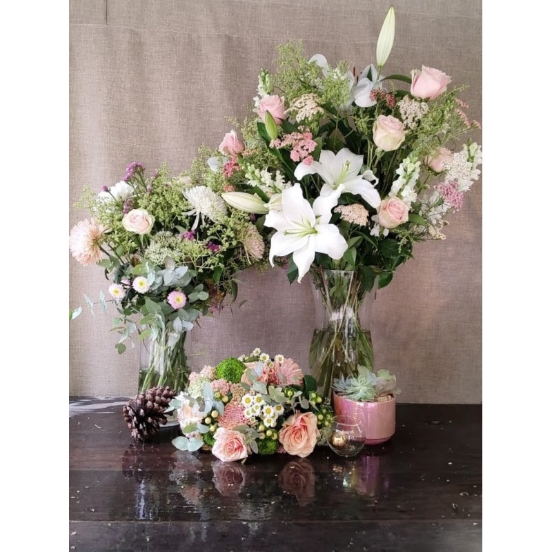 Elegancia de Año Nuevo | Super Conjunto