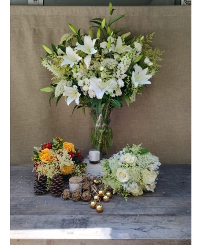 Celebración de Prosperidad | Super Conjunto