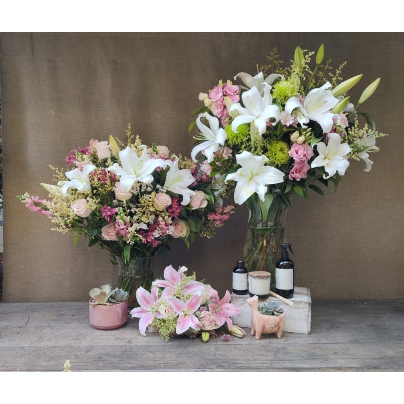 Brindis en Rosa | Super Conjunto