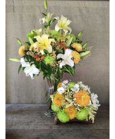 Deseo de Año Nuevo | Conjunto Medium