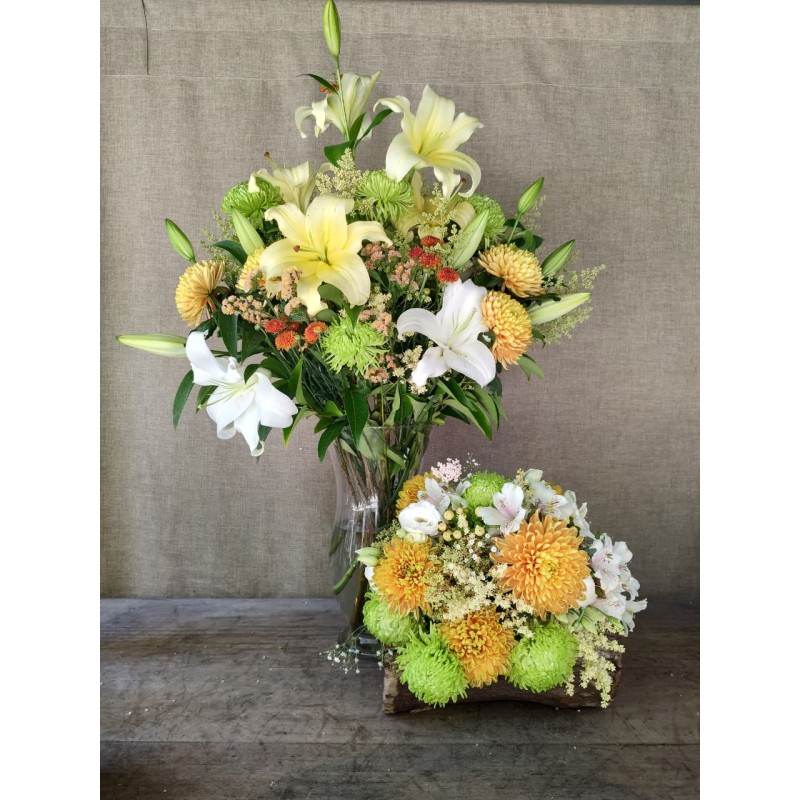 Deseo de Año Nuevo | Conjunto Medium