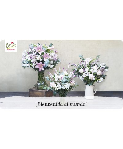 ¡Bienvenida al mundo!