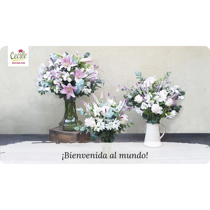 ¡Bienvenida al mundo!