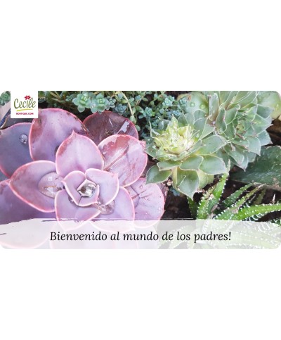 Bienvenido al mundo de los padres!