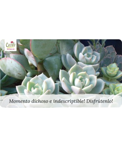 Momento feliz e indescritível! Aproveite!