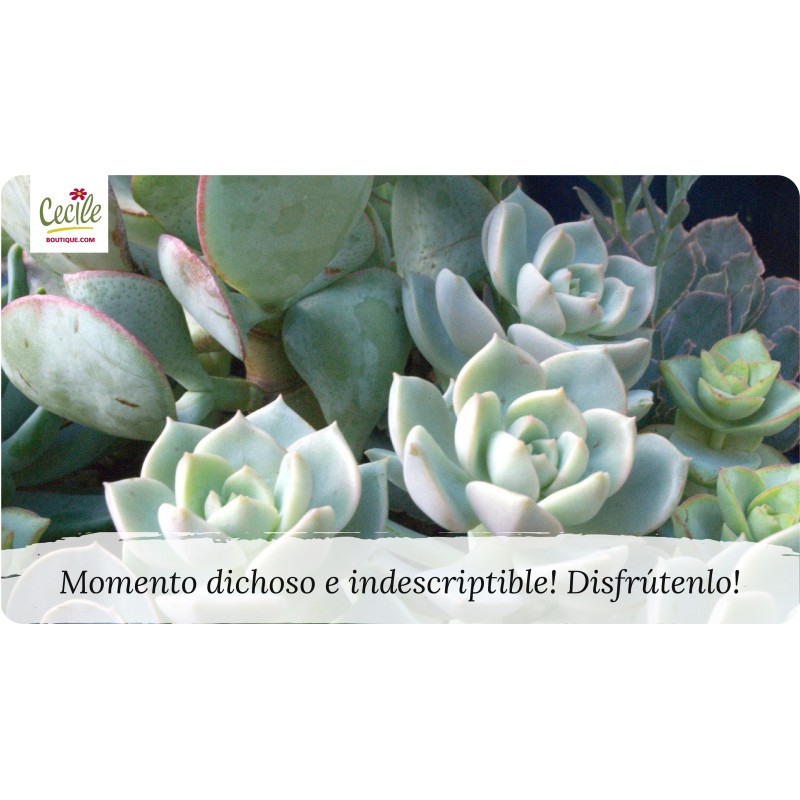 Momento feliz e indescritível! Aproveite!