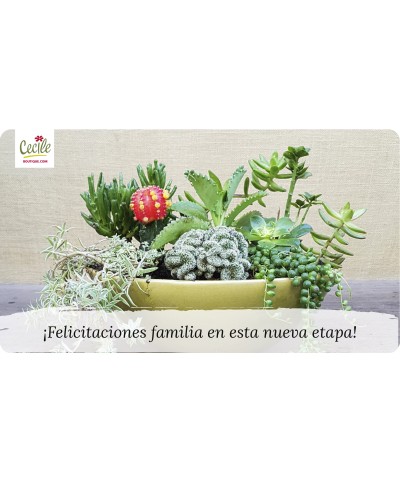 ¡Felicitaciones familia en ésta nueva etapa!