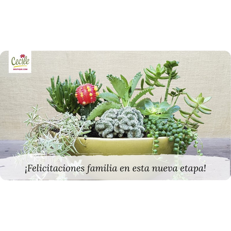 ¡Felicitaciones familia en ésta nueva etapa!