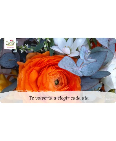 I would choose you every day