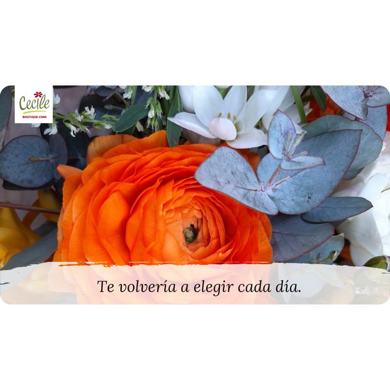 I would choose you every day