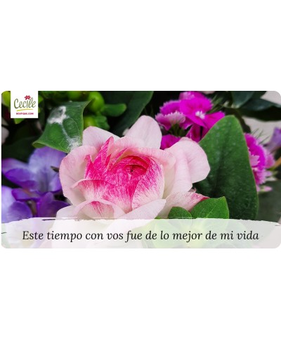 Éste tiempo con vos fue de lo mejor de mi vida