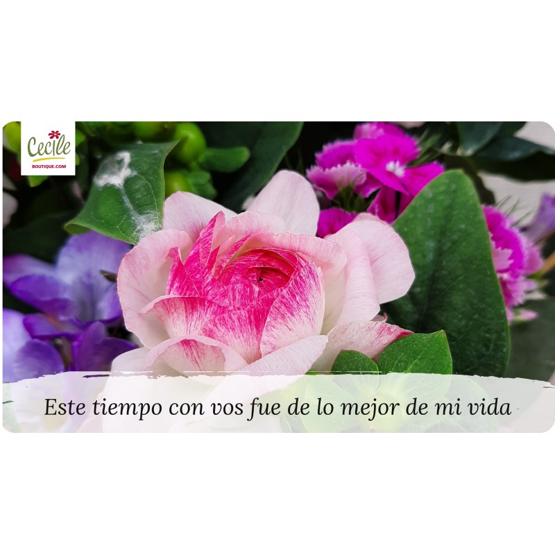 Éste tiempo con vos fue de lo mejor de mi vida