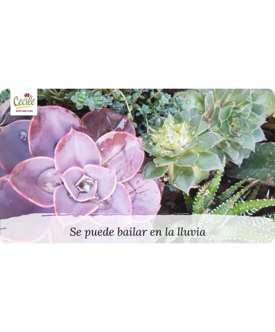 Se puede bailar en la lluvia