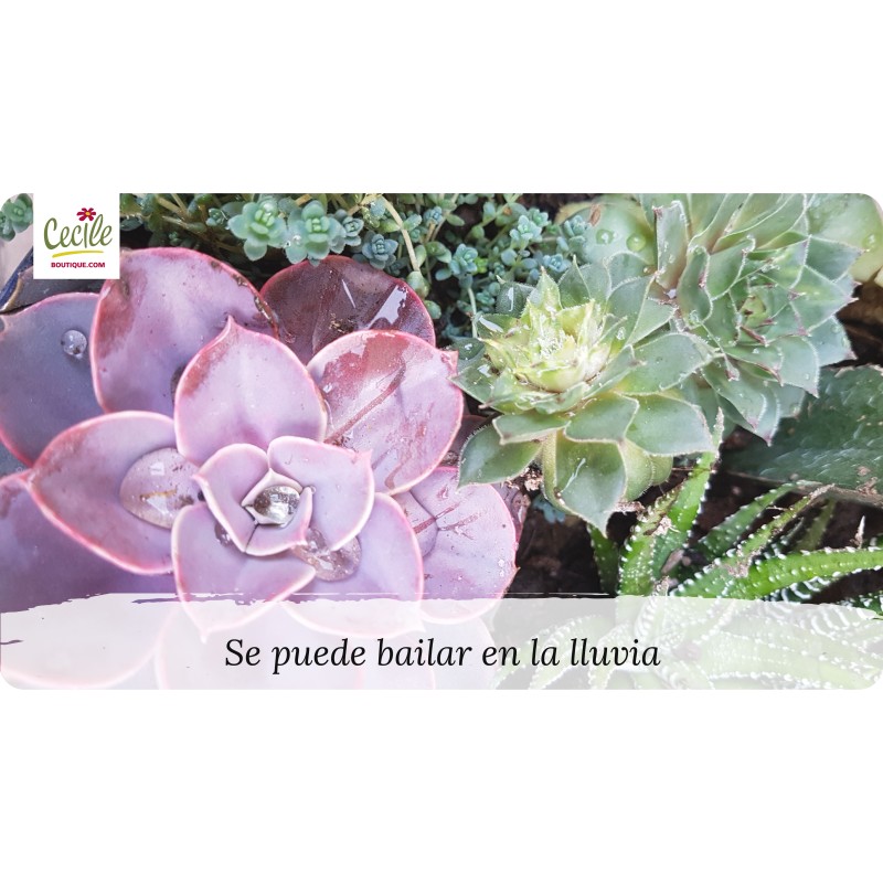 Se puede bailar en la lluvia