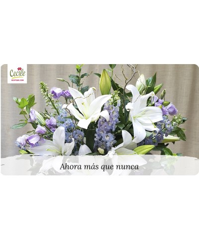 Gift Card: Ahora más que nunca