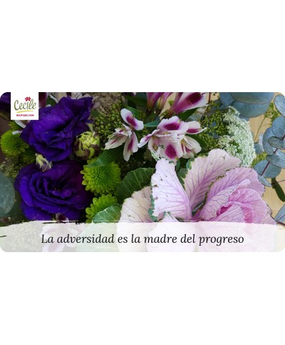 La adversidad es la madre del progreso