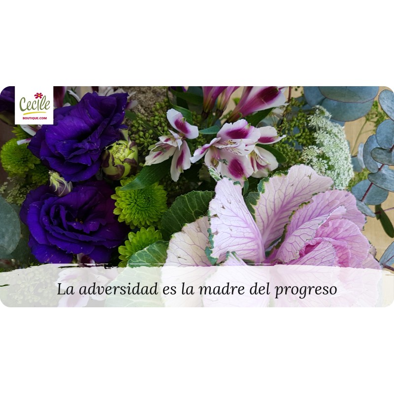 La adversidad es la madre del progreso