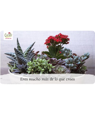 You are much more than you think!