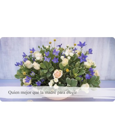 Quien mejor que la madre para elegi